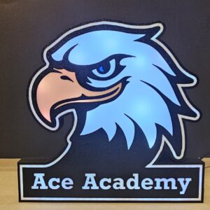 Ace Academy LED Lightbox